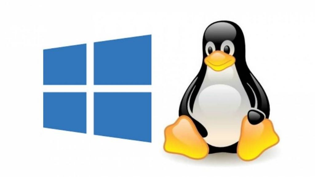 Linux+Windows